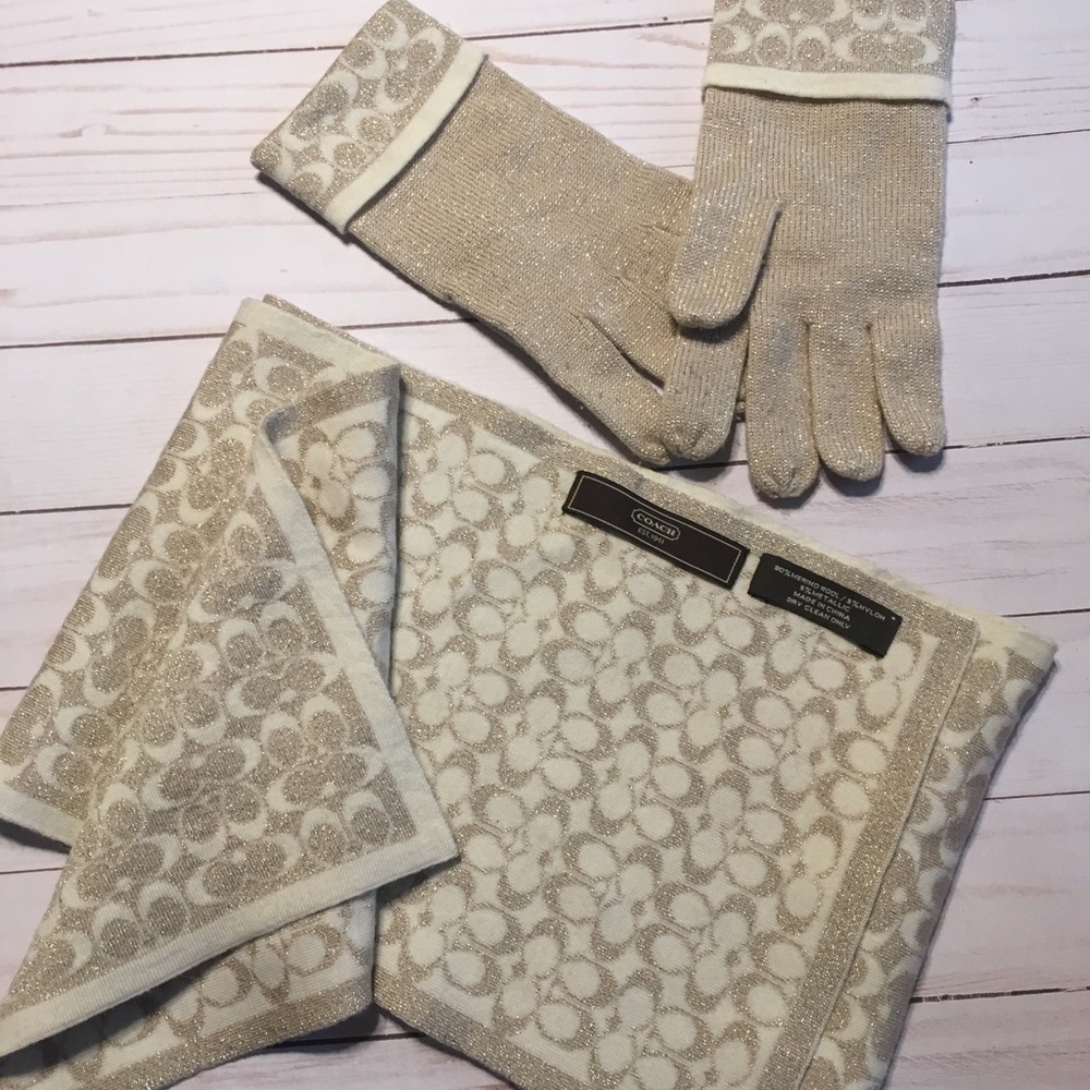 COPY - Coach scarf & gloves